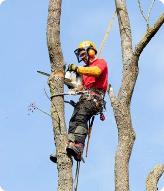 Working at height