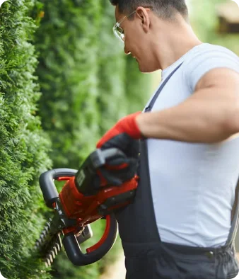 Landscape maintenance