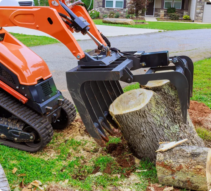 Stump grinding equipment and tree care