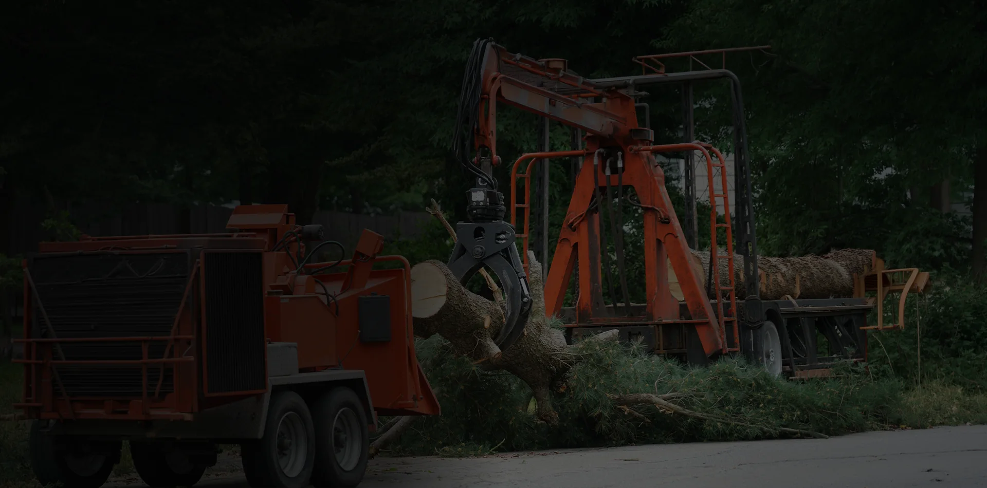 Tree care equipment clearing a large tree